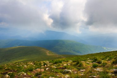 Manzara Karpat Dağları'nda yaz, yukarıdan görüntüleyin. Ukrayna