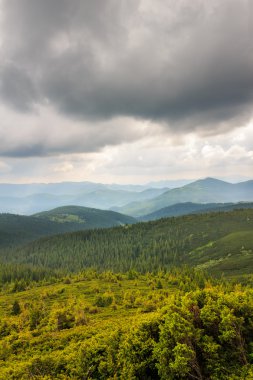 Manzara Karpat Dağları'nda yaz, yukarıdan görüntüleyin. Ukrayna