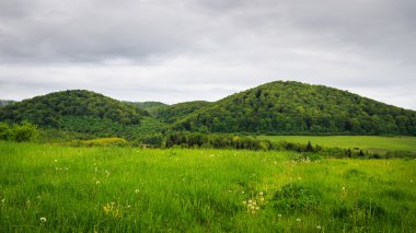 Karpat dağları, yağmurdan önceki vadi. Ukrayna.