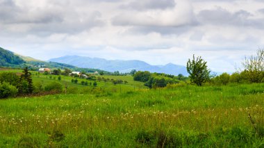 Karpat dağları, yağmurdan önceki vadi. Ukrayna.