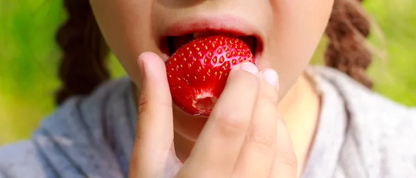 Girl, bites eating, ripe strawberries close-up view.