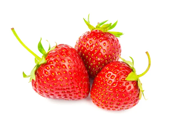 Drei reife Bio-Erdbeeren isoliert auf weißem Hintergrund. Stockbild