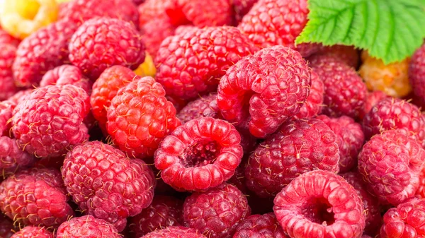 Pile of fresh, ripe raspberries, fruit background. — Stock Photo, Image