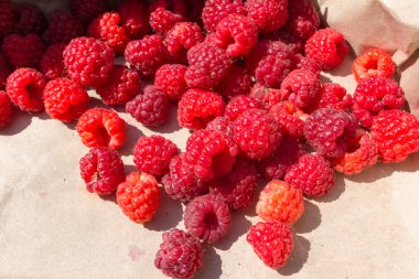 Taze ahududu kağıt üzerinde açık havada aldı