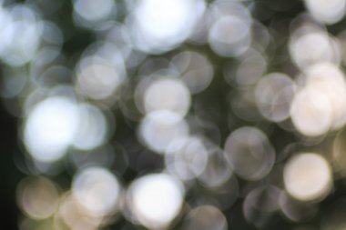 Soyut, bulanık doğa arka plan, bokeh daireler.