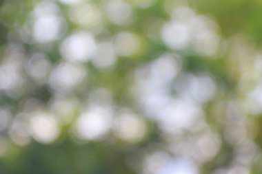 Soyut, bulanık yumuşak doğa yeşil sarı arka plan.