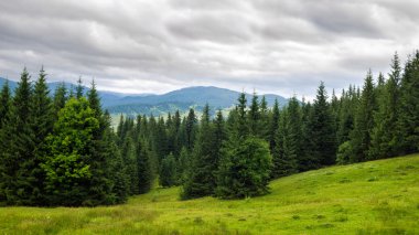 Bulutlu yaz Karpat Dağları manzara. Chornogora ridge, Ukrayna, Europe.