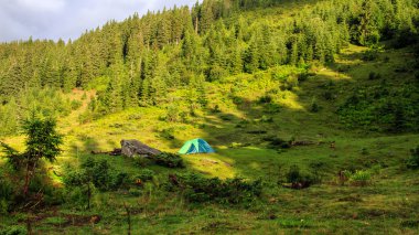 Karpat Dağları, yaz yolculuk, Ukrayna, Europe kamp çadırı.