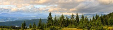 Güzel Karpat Dağları manzara Panoraması. Chornogora ridge, Ukrayna