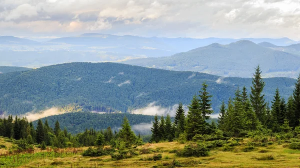 Malerische Landschaft der Karpaten. chornogora grat, ukraine, europa. — Stockfoto