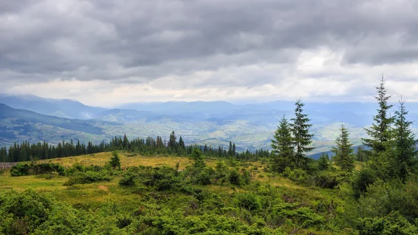Nublado verano Cárpatos montañas paisaje. Cordillera Chornogora, Ucrania, Europa . — Foto de Stock