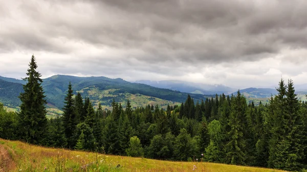 Nublado verano Cárpatos montañas paisaje. Cordillera Chornogora, Ucrania, Europa . — Foto de Stock