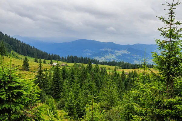 Pintoresco paisaje de montañas de los Cárpatos. Cordillera Chornogora, Ucrania, Europa . — Foto de Stock