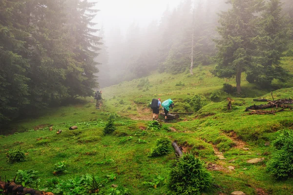Gruppo di turisti sulla nebbiosa valle di montagna nel paese delle meraviglie Carpazi, Ucraina . — Foto Stock