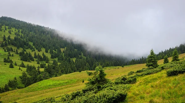 Pintoresco paisaje de montañas de los Cárpatos. Cordillera Chornogora, Ucrania, Europa . — Foto de Stock