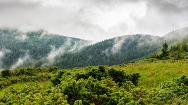 Karpatlar, bulutlar, Ukrayna, Europe altında Chornogora ridge dağ manzarası.