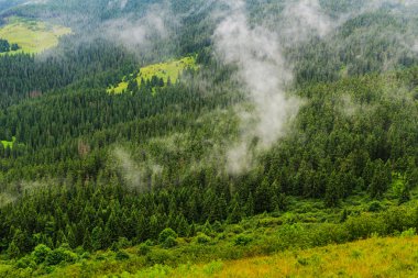 Karpat dağlarının tepesinden, bulutların üstünden manzara. Chornogora sırtı.