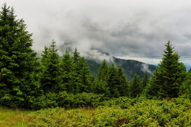 Karpatlar, bulutlar, Ukrayna, Europe altında Chornogora ridge dağ manzarası.