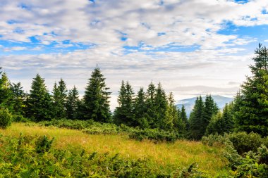 Sabah, Ukrayna, Avrupa'nın parlak, güzel Karpat Dağları manzara.