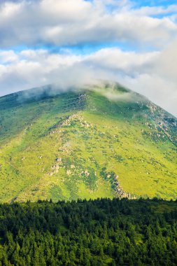 Karpat Dağları manzara, Petros mount, Ukrayna görüntüleme.