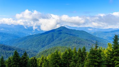 Parlak, güzel Karpat Dağları manzara. Chornogora ridge, Ukrayna, Europe.