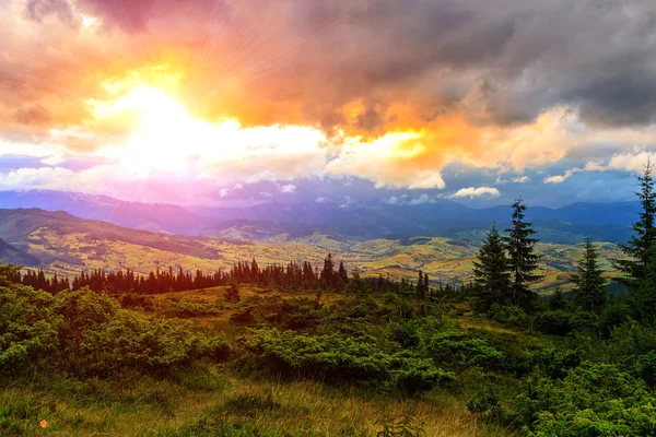 Pittoreske Karpaten landschap, landschap van zonsondergang. Oekraïne, Europa. — Stockfoto
