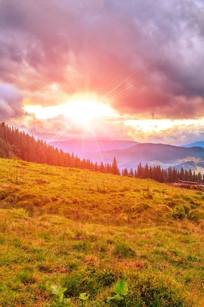 Güzel Karpat Dağları manzara, gün batımı toplayan. Ukrayna, Europe.