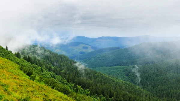 Pintoresco paisaje de montañas de los Cárpatos. Cordillera Chornogora, Ucrania, Europa . — Foto de Stock