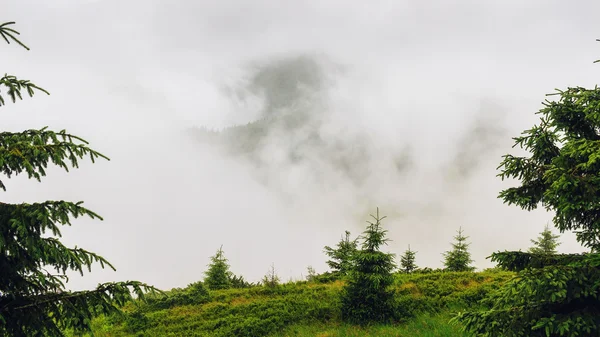 Paysage montagneux dans les Carpates, Chornogora crête dans les nuages, Ukraine, Europe . — Photo