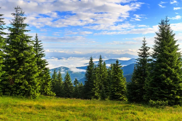 Brillante, pintoresco paisaje de las montañas de los Cárpatos en la mañana, Ucrania, Europa . — Foto de Stock