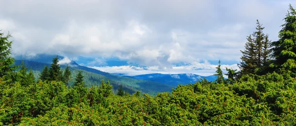 Brillante, pintoresco paisaje de montañas de los Cárpatos. Cordillera Chornogora, Ucrania, Europa . —  Fotos de Stock