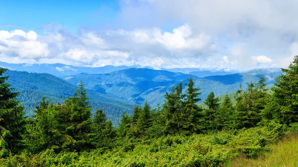 Brillante, pintoresco paisaje de montañas de los Cárpatos. Cordillera Chornogora, Ucrania, Europa . —  Fotos de Stock