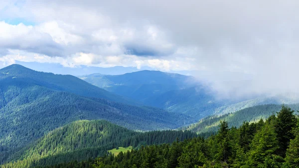 Brillante, pintoresco paisaje de montañas de los Cárpatos. Cordillera Chornogora, Ucrania, Europa . — Foto de Stock