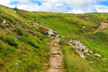 Karpatlar, Ukrayna'da sırtın tepesine dağ izi.