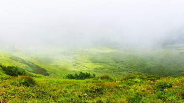 Karpat dağlarının tepesinden, bulutların üstünden manzara. Chornogora sırtı.