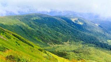 Parlak, güzel Karpat Dağları manzara. Chornogora ridge, Ukrayna, Europe.