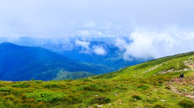 Parlak, güzel Karpat Dağları manzara. Chornogora ridge, Ukrayna, Europe.