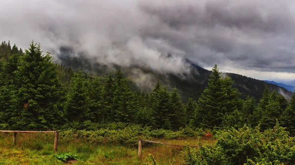 Paesaggio montano nei Carpazi, dorsale di Chornogora sotto le nuvole, Ucraina, Europa . — Foto Stock