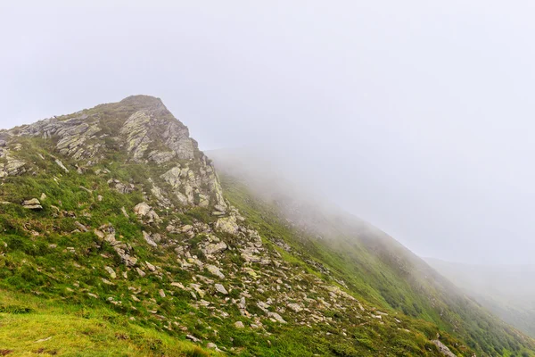 Landskap av berg vaggar på Chornogora Ridge i Karpaterna, Ukraina. — Stockfoto