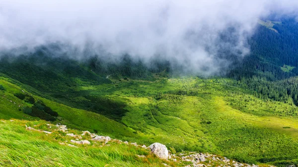 Widok z góry Karpat, nad chmurami. Grzbiet chornogora. — Zdjęcie stockowe