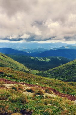Pitoresk Karpat dağları manzara, yükseklikten görünümü, Chornogora sırt, Ukrayna.