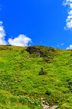 Karpat dağları manzara, bulutlar ile parlak mavi gökyüzü altında yeşil tepe, Ukrayna.