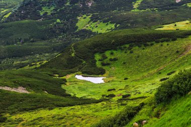 Pitoresk Karpat dağları manzara, yükseklikten görünümü, Chornogora sırt, Ukrayna.