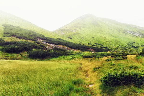 Picturesque Pegunungan Carpathian dalam kabut, lanskap alam, Ukraina . — Stok Foto