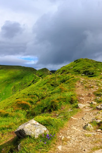 Güzel Karpat Dağları manzara, iz ridge, Ukrayna.