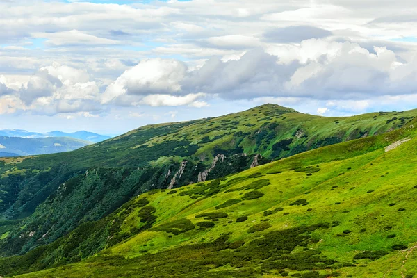 Pintoresco paisaje montañoso de los Cárpatos, monte Shpytsi, Ucrania . — Foto de Stock