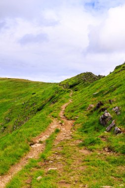 Güzel Karpat Dağları manzara, iz ridge, Ukrayna.