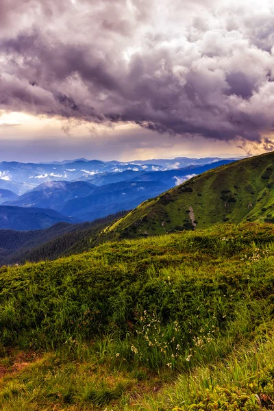 Pintoresco y dramático paisaje montañoso de los Cárpatos, atardecer, Ucrania . — Foto de Stock