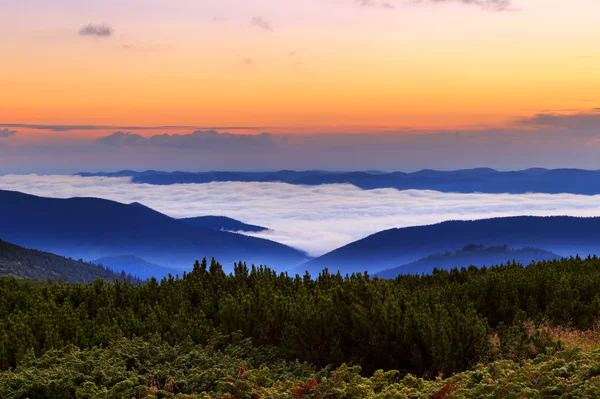 Pittoresca mattina alba in montagne sopra le nuvole, Carpazi, Ucraina . — Foto Stock