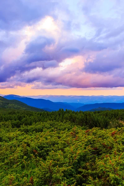 Pintoresco y dramático paisaje montañoso de los Cárpatos, atardecer, Ucrania . —  Fotos de Stock